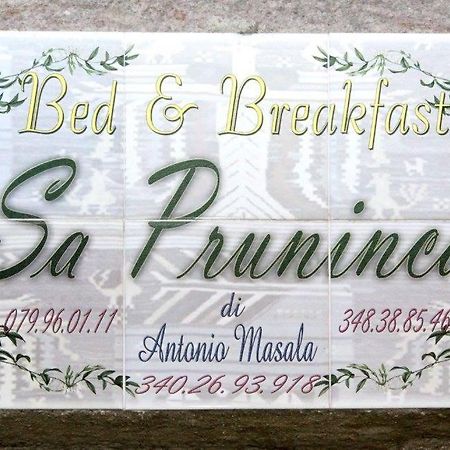 Villanova MonteleoneSa Pruninca住宿加早餐旅馆 外观 照片